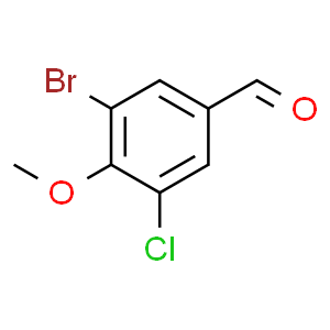 辛酸-1,2,3,4-13C4