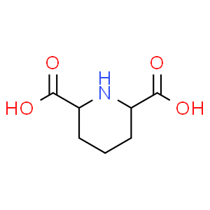 哌啶-2,6-二甲酸
