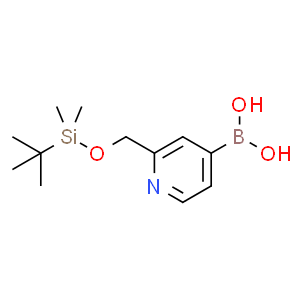 B-[2-[[[[(1,1-二甲基乙基)二甲基甲硅烷基]氧基]甲基]-4-吡啶基]-硼酸