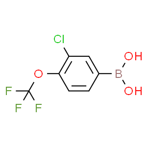 [3-氯-4-(三氟甲氧基)苯基]硼酸